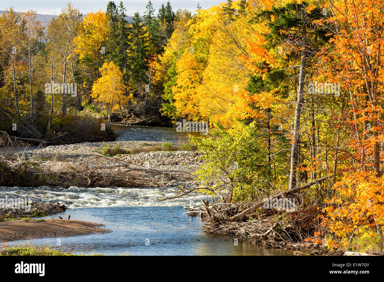 Middle River West, Cape Breton, Nova Scotia, Kanada Stockfoto