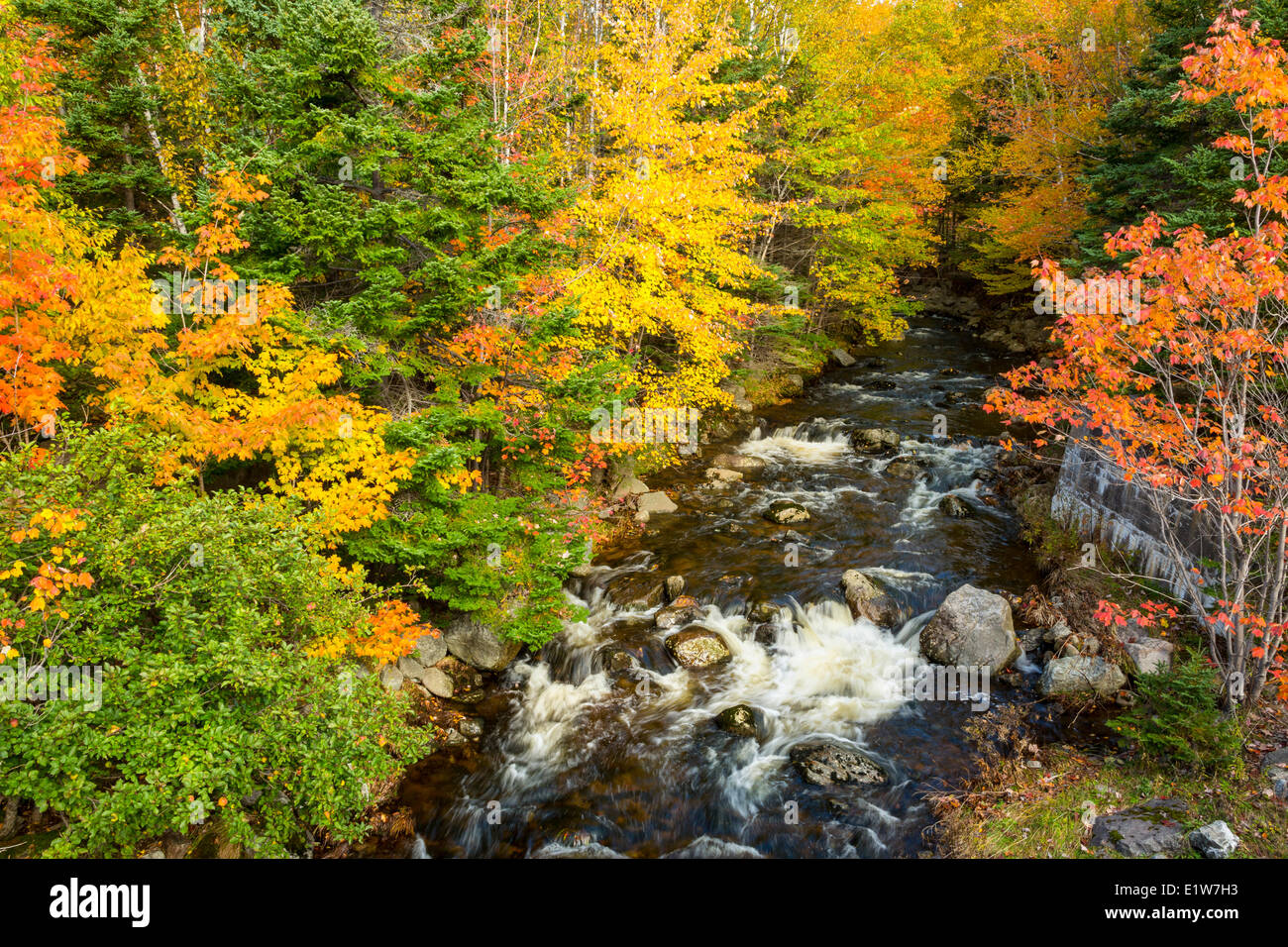 Brook, Aberdeen, Cape Breton, Nova Scotia, Kanada Stockfoto