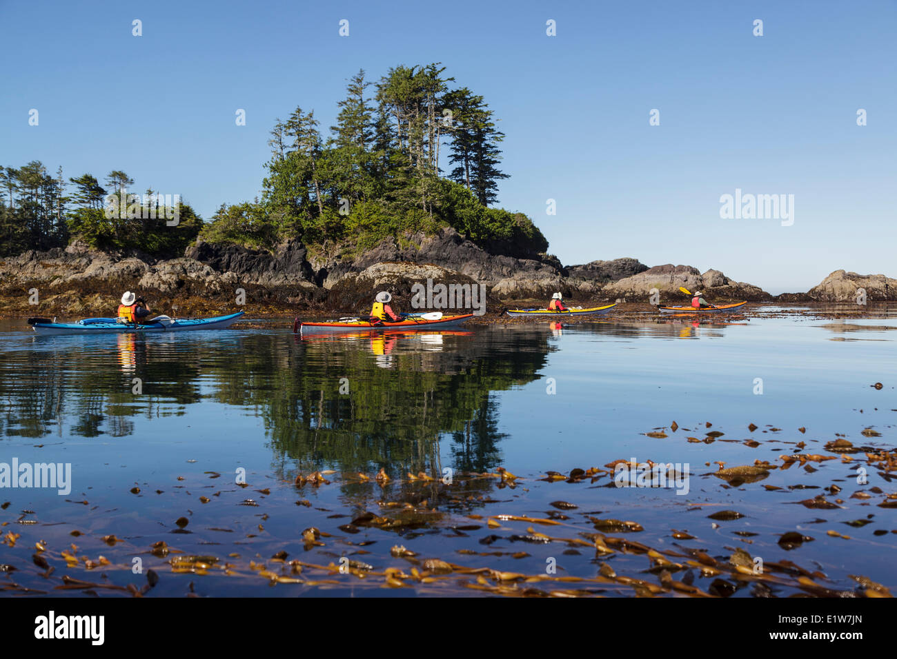 Vier Kanuten erkunden die Steingärten im Nuchalitz Provincial Park vor Nootka Island an der Westküste von British Columbia, kann Stockfoto