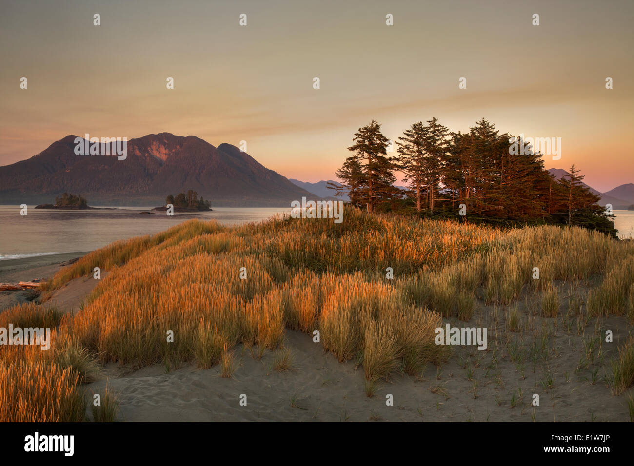 Dämmerung senkt sich auf Whaler Inselchen mit dem Küstengebirge Vancouver Insel Flores Island im Hintergrund. Clayoquot Sound Stockfoto