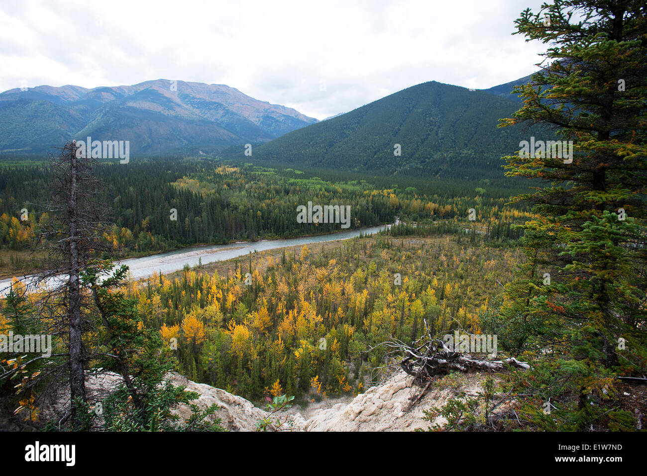 Tal der Forellenfluss, Muncho Lake Provincial Park, Highway 97 - Alaska Highway, Norden von British Columbia, Kanada Stockfoto