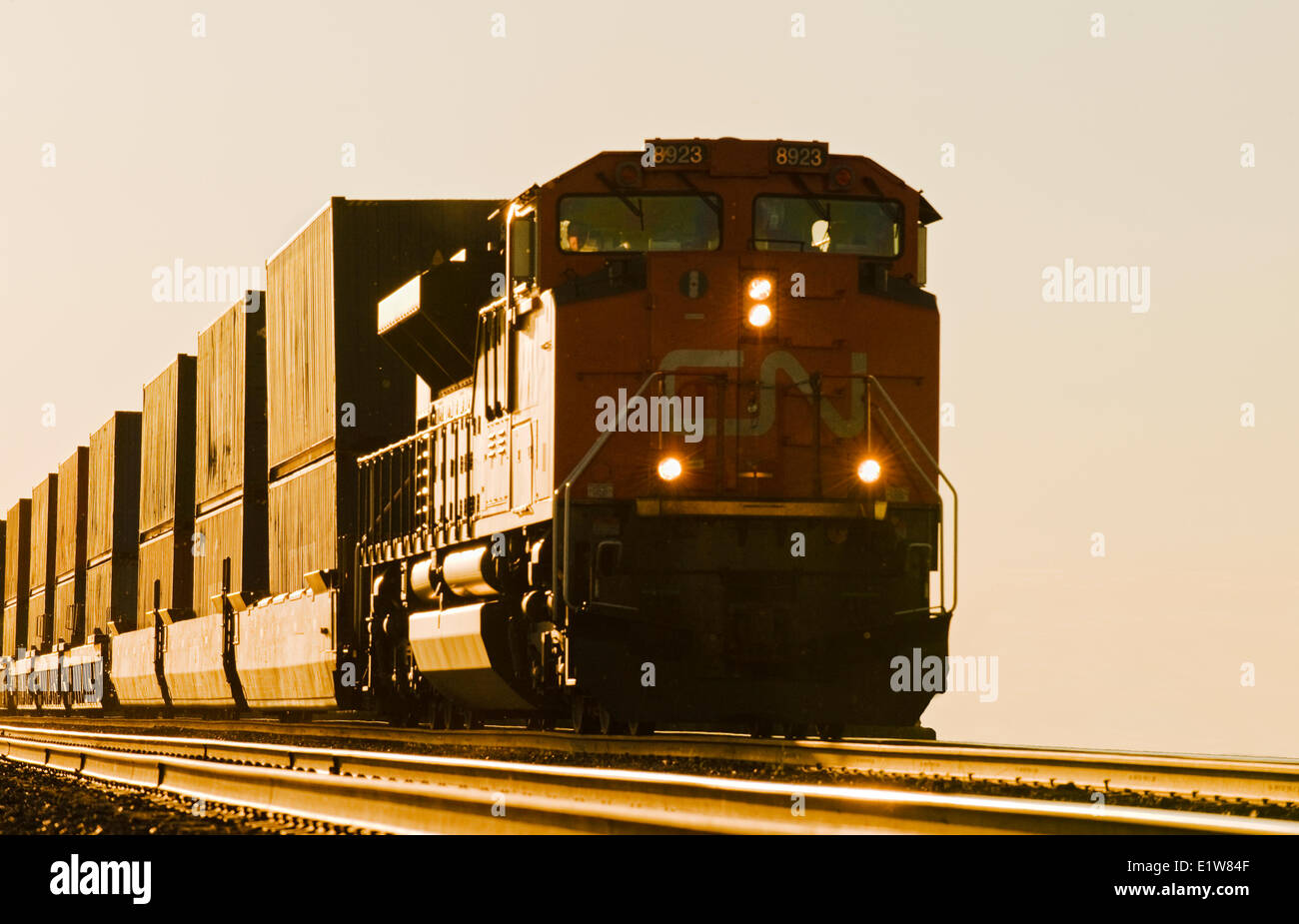 Eine Lokomotive zieht Waggons die Container in der Nähe von Winnipeg, Manitoba, Kanada Stockfoto