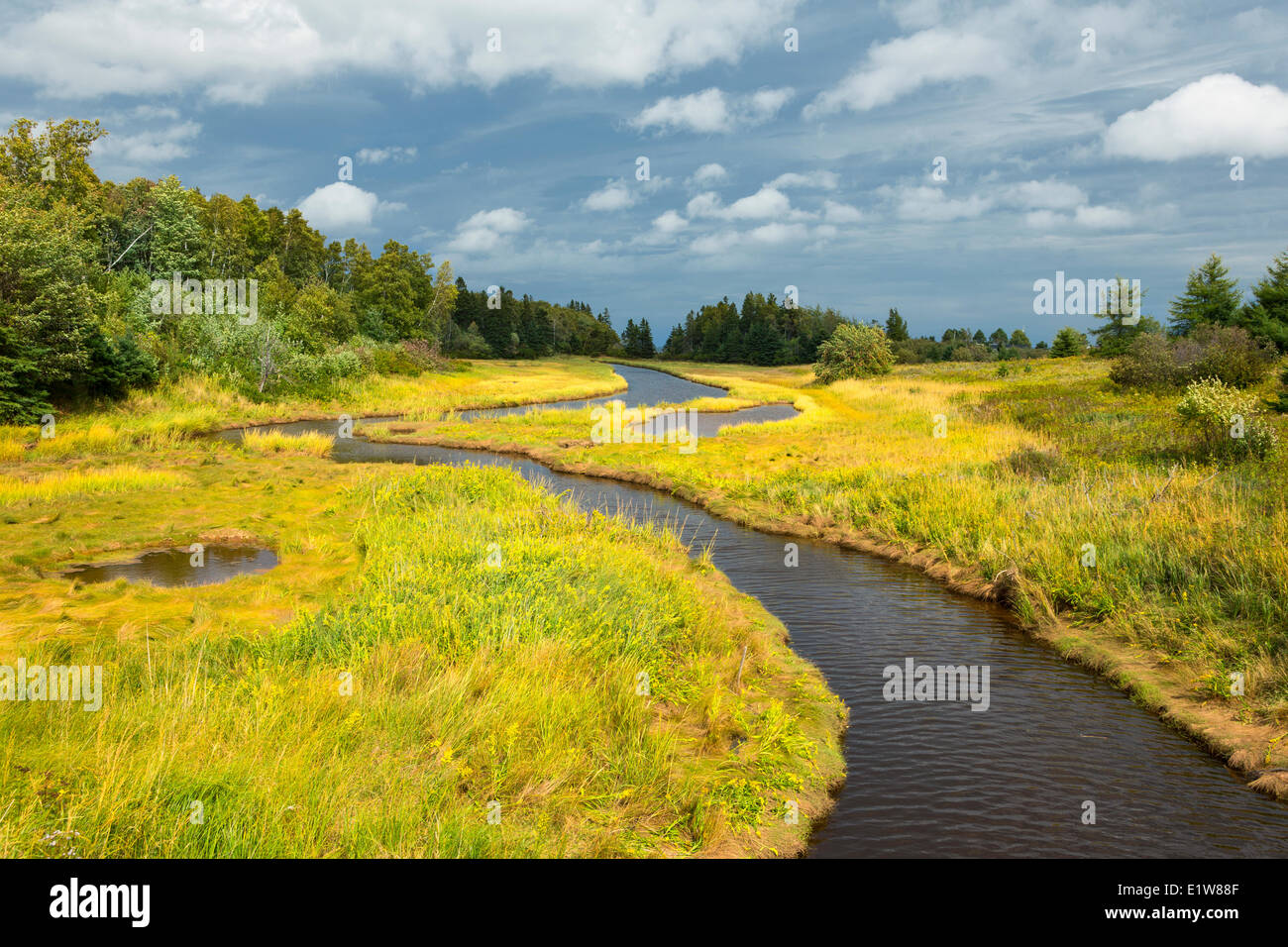 Küste in der Nähe von Amherst Shore Provincial Park, Cumberland Brücke, Nova Scotia, Kanada Stockfoto