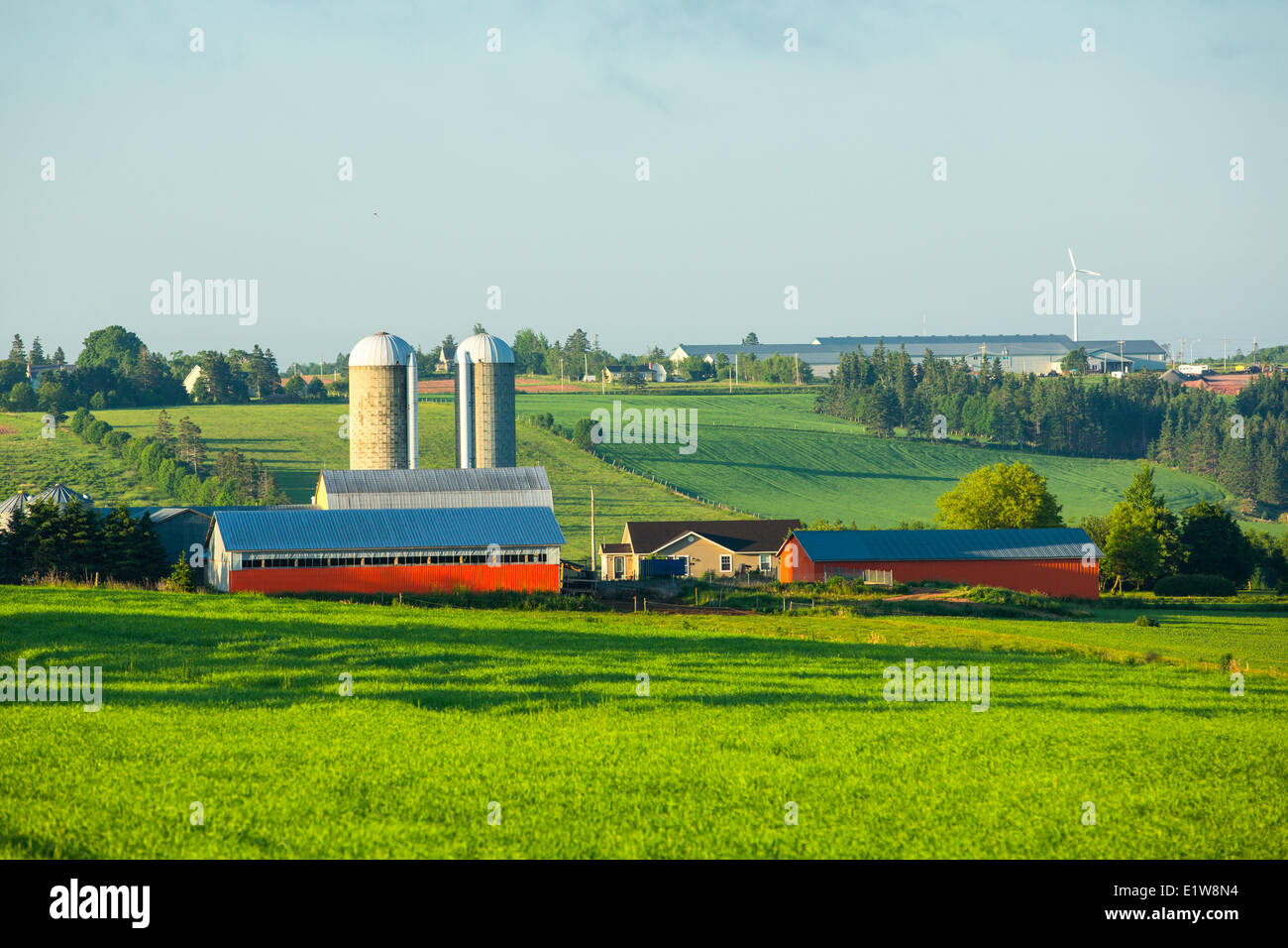 Bauernhof, Orwell, Prince Edward Island, Canada Stockfoto