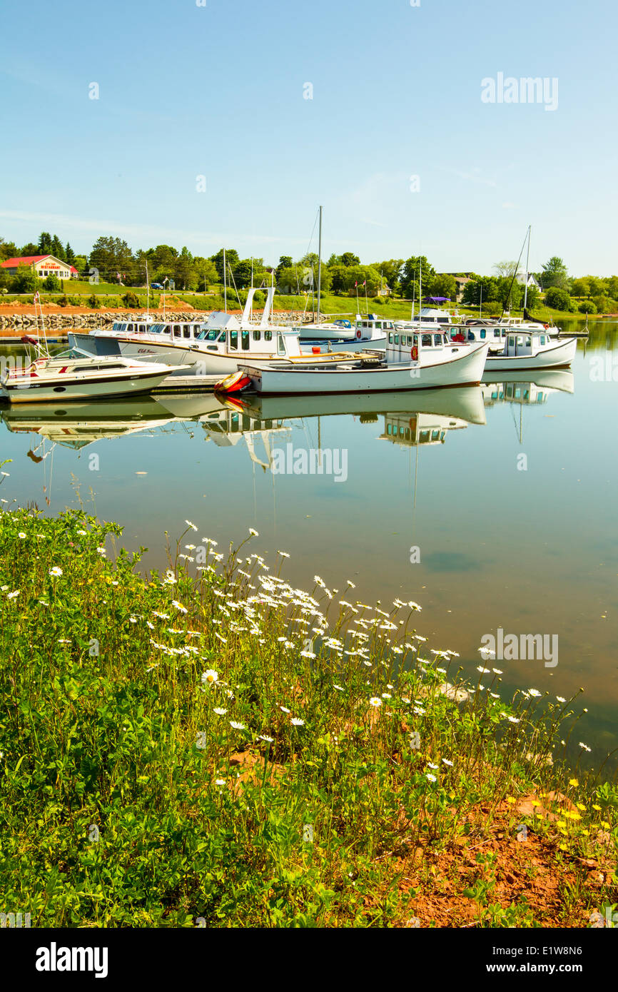Marina, Cardigan, Prince Edward Island, Canada Stockfoto
