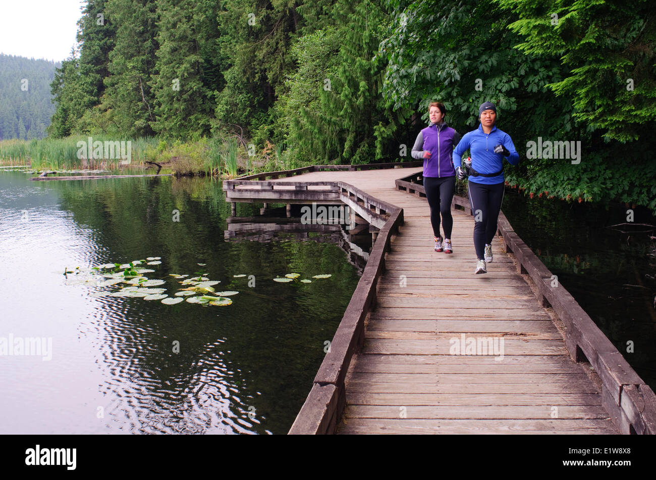 Laufen und Wandern auf den Spuren rund um Sasamat Lake, Belcarra Regional Park, Port Moody in British Columbia, Kanada Stockfoto