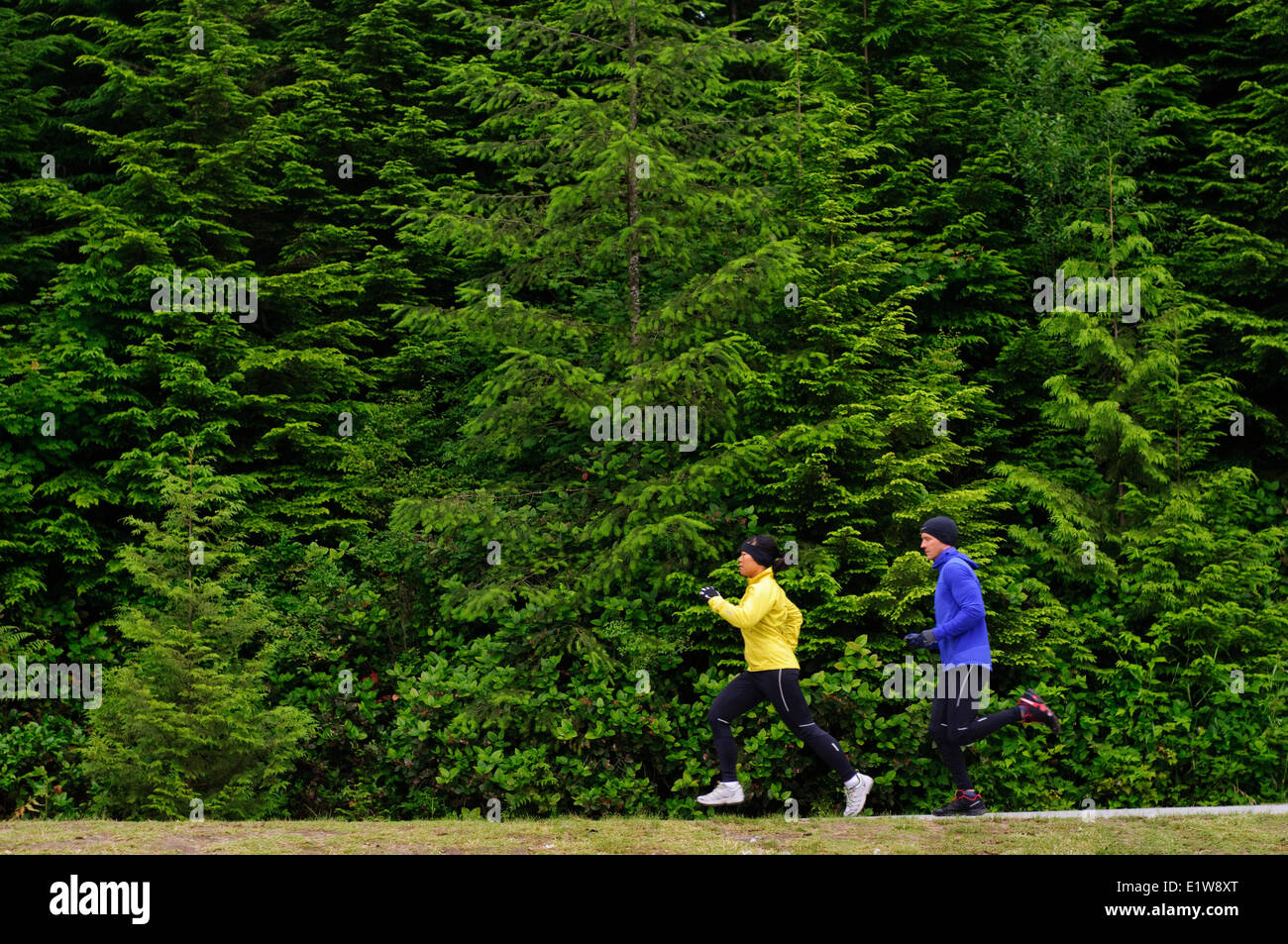 Laufen und Wandern auf den Spuren rund um Sasamat Lake, Belcarra Regional Park, Port Moody in British Columbia, Kanada Stockfoto