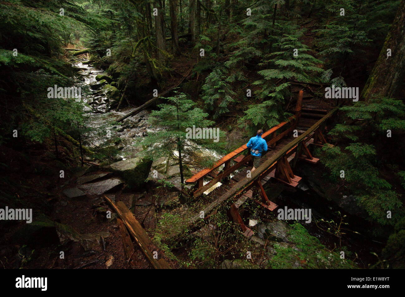 Trail-running-auf dem Mühlbach-Loop. Hollyburn Berg. West Vancouver, Britisch-Kolumbien. Kanada Stockfoto