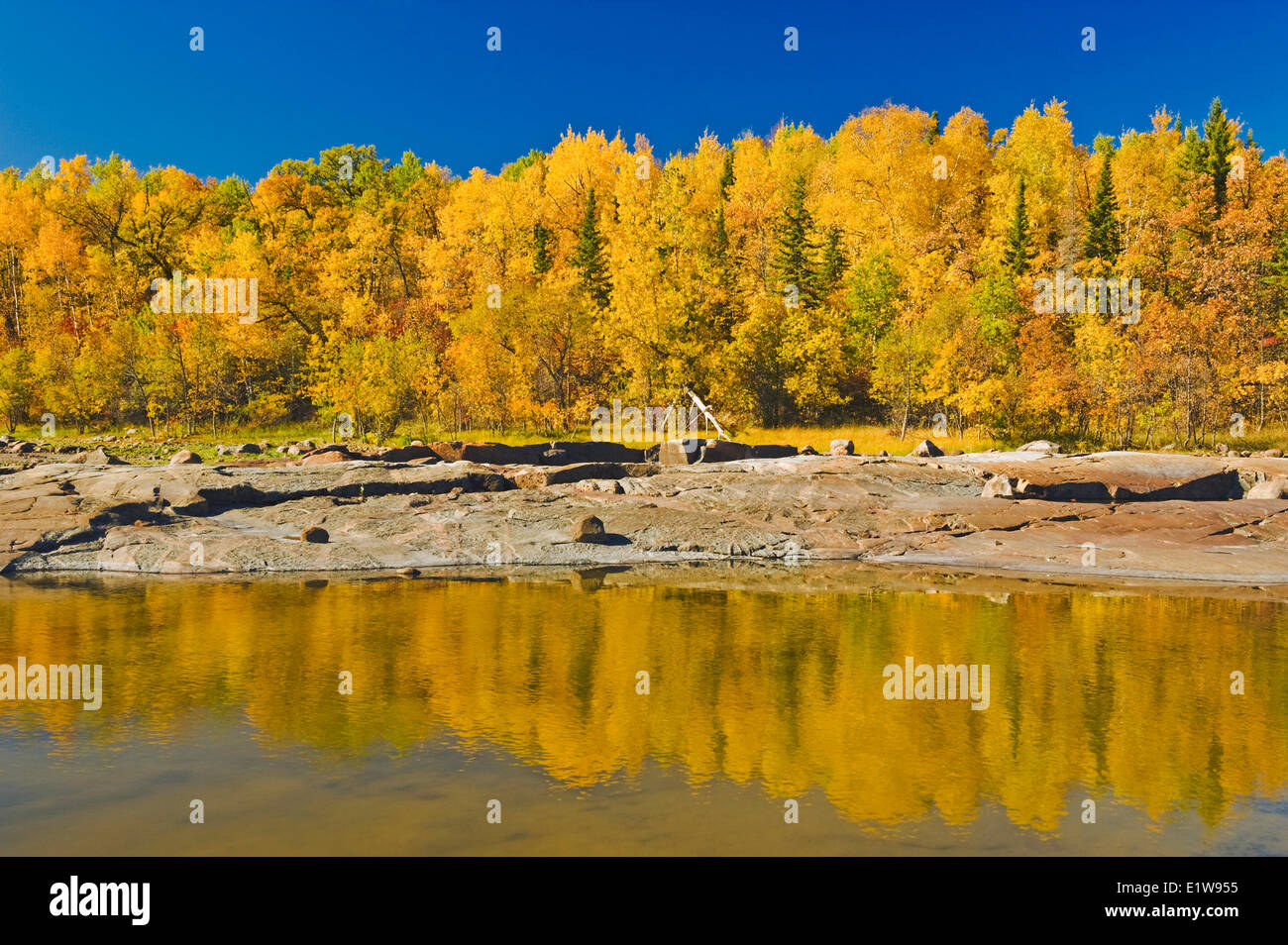 Präkambrischen Schild Felsen entlang des Winnipeg River mit Herbst Farben im Hintergrund, in der Nähe von sieben Schwestern, Manitoba, Kanada Stockfoto