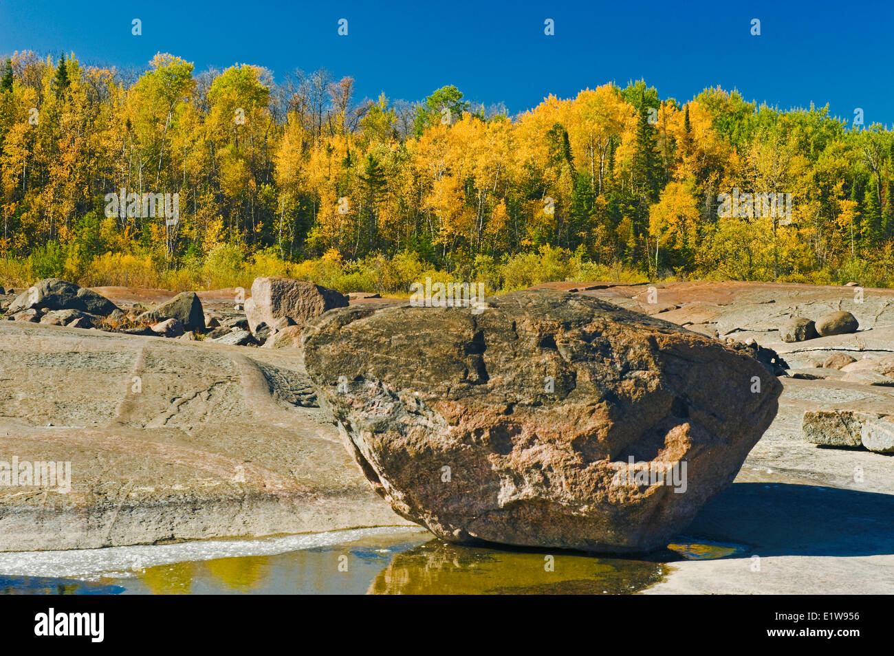 Erratischen Felsen präkambrischen Schild Felsen entlang des Winnipeg River mit Herbst Farben im Hintergrund in der Nähe von sieben Schwestern-Manitoba Stockfoto