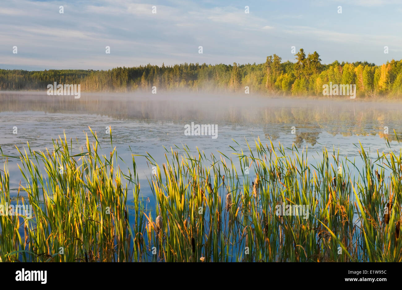 In der Nähe von Canoe Lake, nördlichen Saskatchewan, Kanada Stockfoto