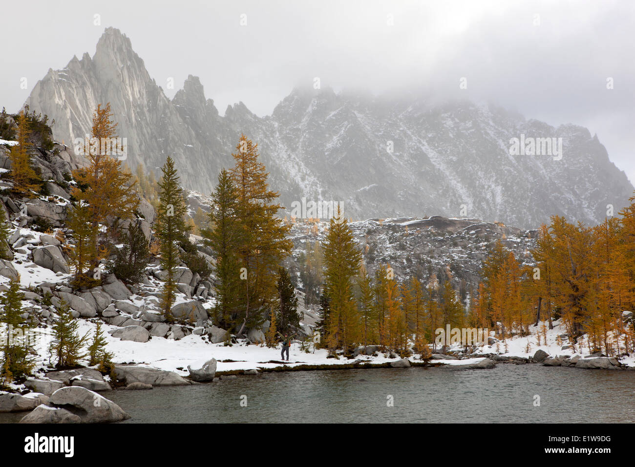 Wanderer-Lärchen Prusik Peak Sprite See Verzauberungen Becken Alpine Seen Wildnis Washington State USA Amerika Stockfoto