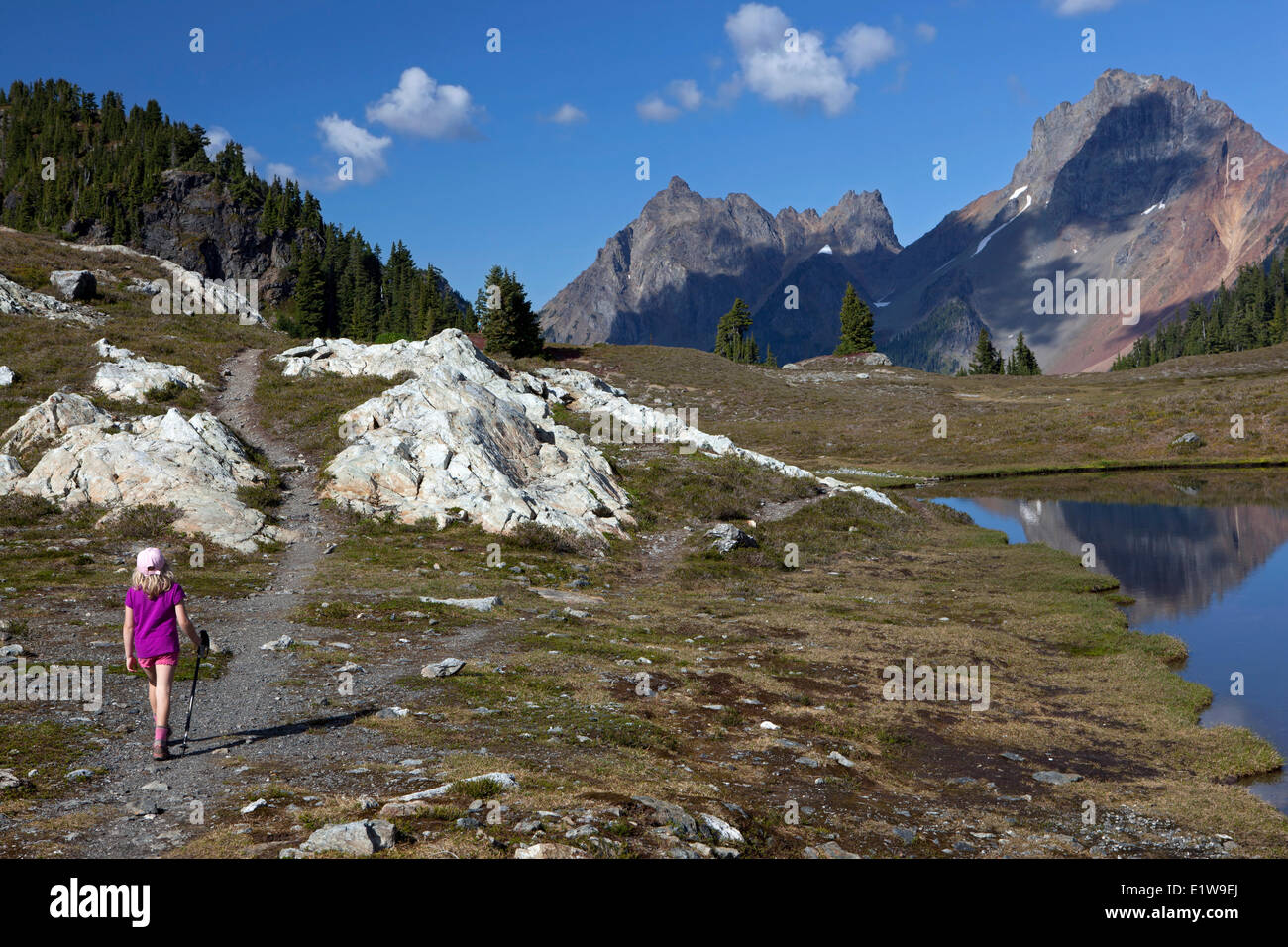 Junges Mädchen Wandern in Richtung amerikanische Grenze Peak gelb Aster Butte Trail Mount Baker Wildnis Washington State Vereinigte Staaten Stockfoto