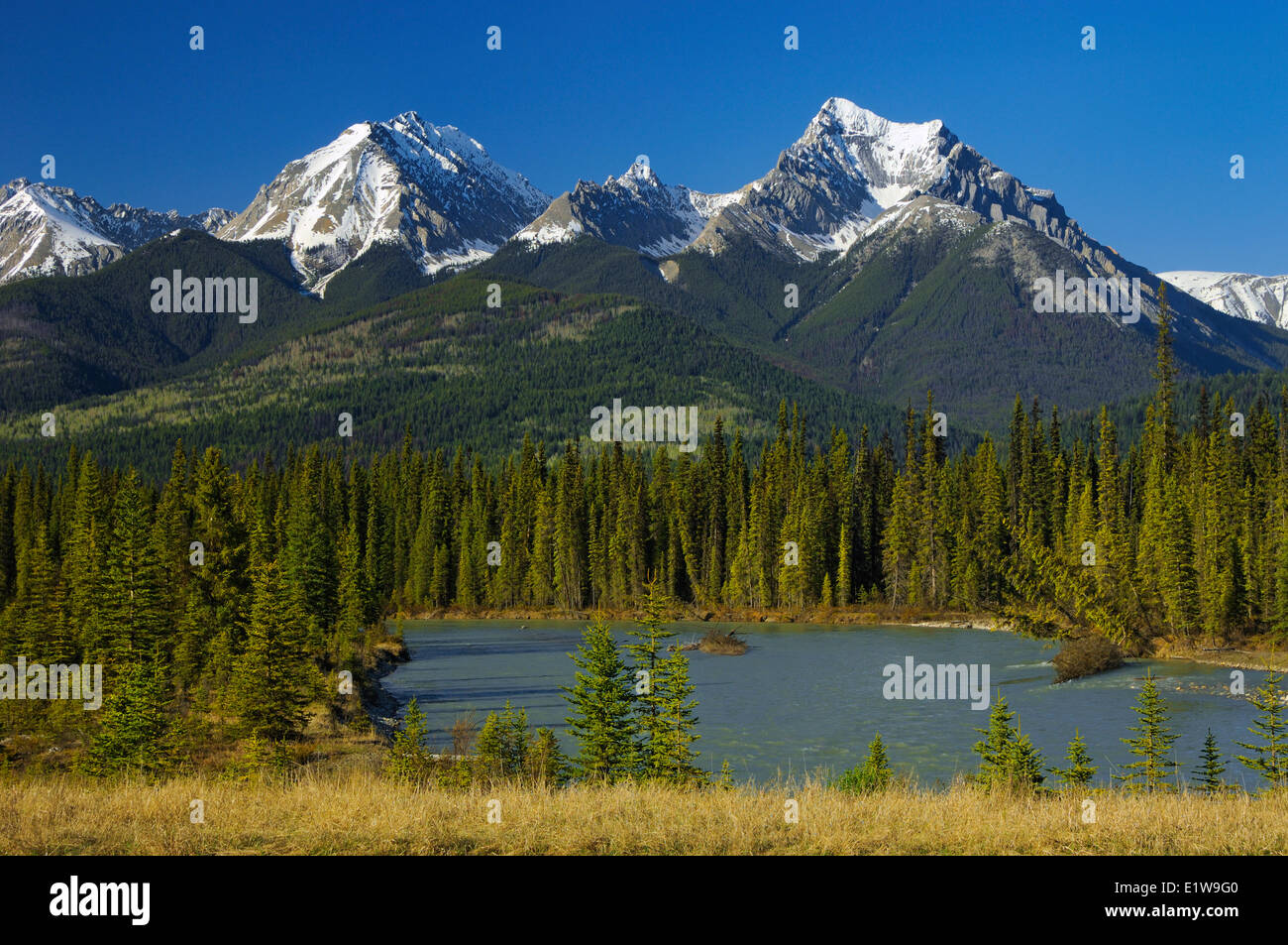 Kootenay-River und den kanadischen Rocky Mountains, Kootenay National Park, Britisch-Kolumbien, Kanada Stockfoto