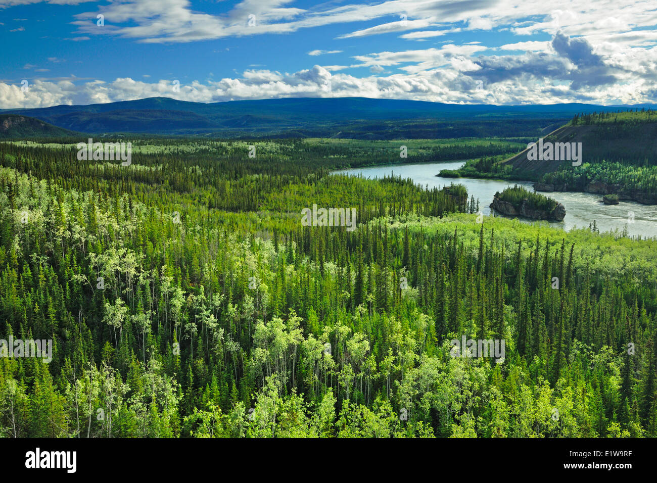 Fünf Finger Rapids Aussichtspunkt auf dem Yukon River, Yukon, Kanada Stockfoto