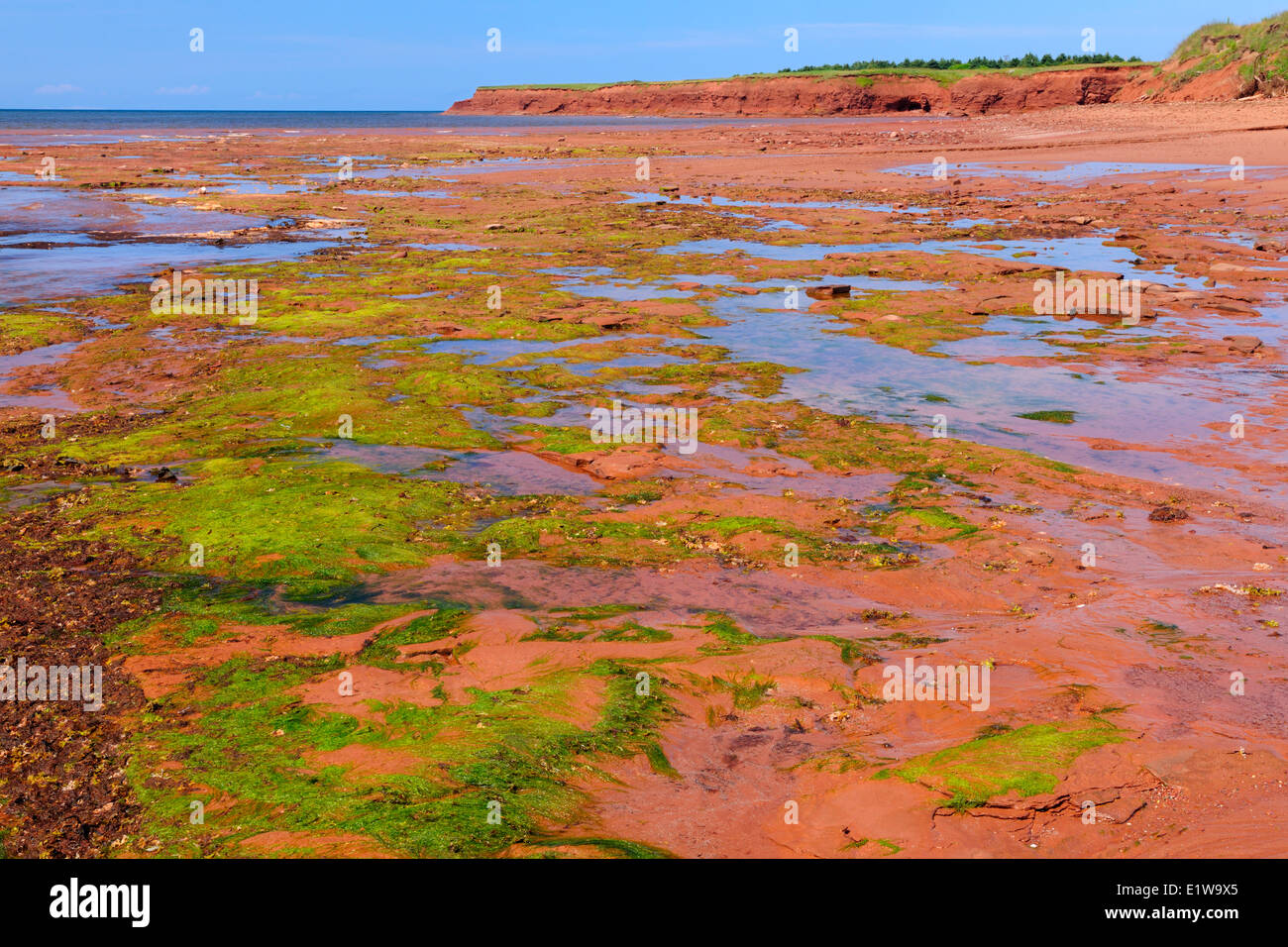 Ebbe und Strand entlang der St.-Lorenz-Golf, Westkap, Prince Edward Island, Canada Stockfoto