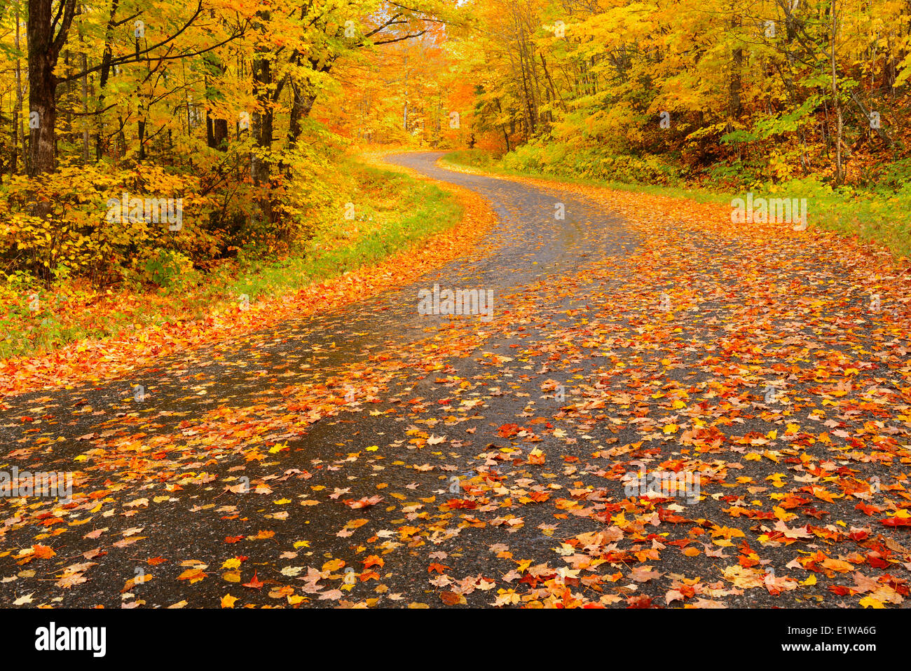 Ahorne Stockfotos & Ahorne Bilder - Alamy