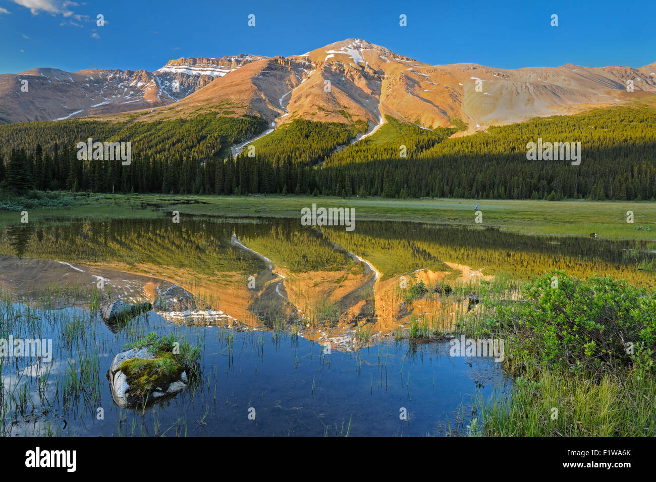 Kanadischen Rocky Mountains in der Nähe von Bow Summit, Banff Nationalpark, Alberta, Kanada Stockfoto