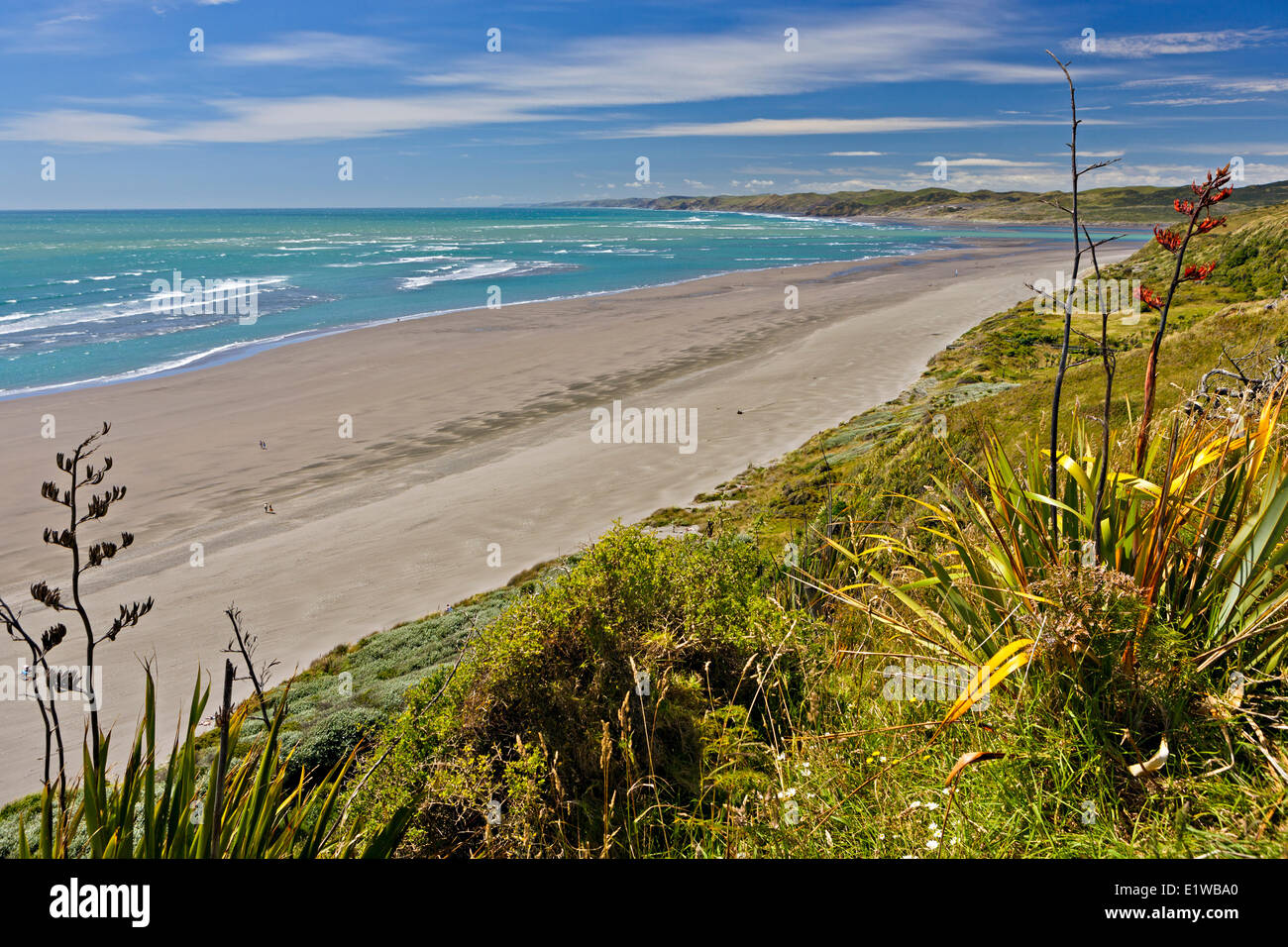 Wainui Strand aus der Waimui Scenic Reserve entlang Ngarunui Beach Road, Raglan, Westküste, Waikato, Nordinsel, Neuseeland. Stockfoto
