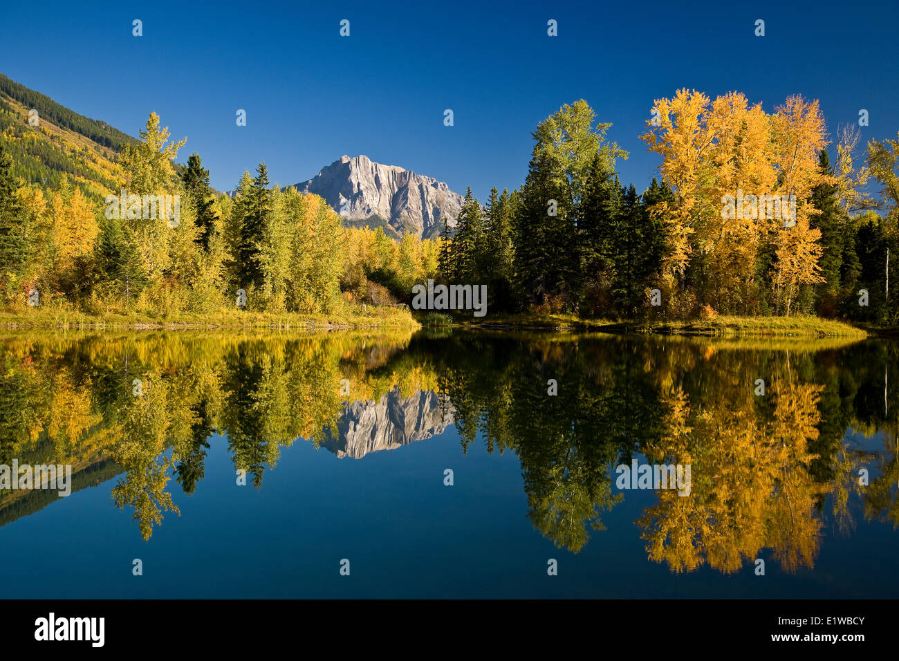 Mount Hosmer und Maiden See im Herbst, Fernie, BC, Kanada. Stockfoto