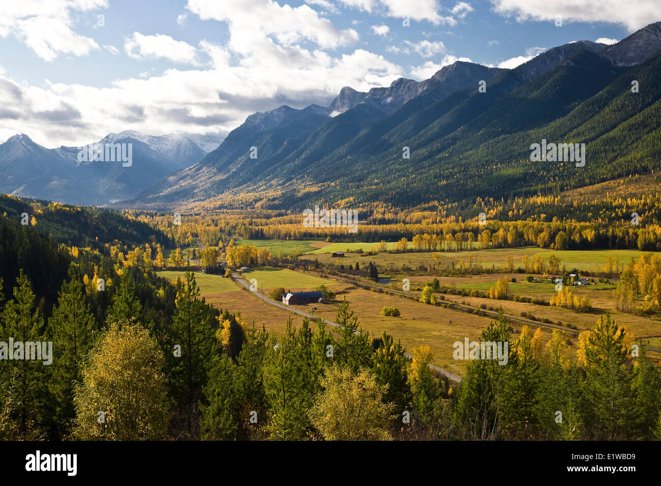 Elk Valley im Herbst in der Nähe von Fernie, BC, Kanada. Stockfoto