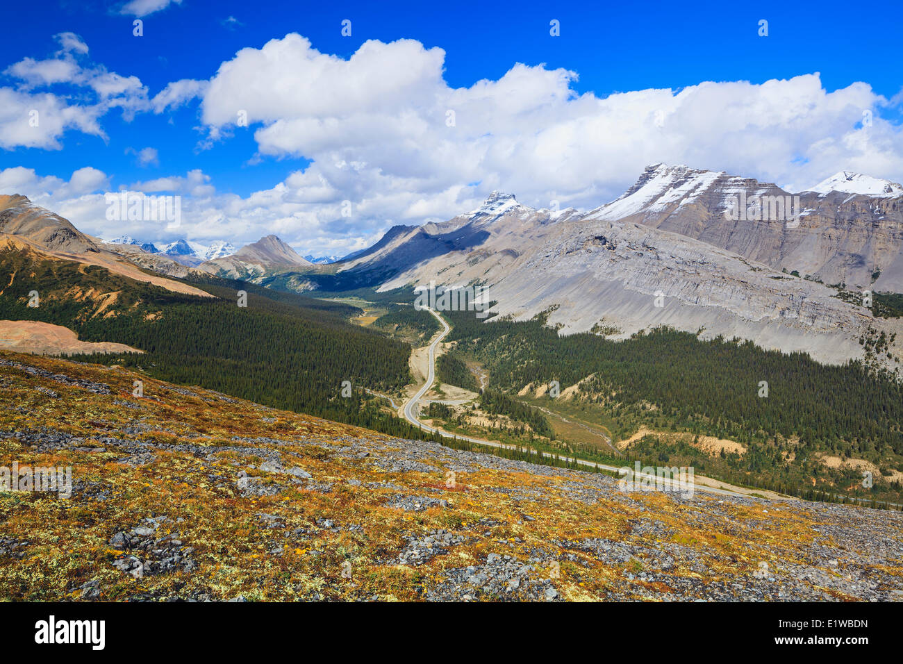 Icefields Parkway durch Sunwapta Pass, gesehen von Parker Ridge, Banff Nationalpark, Alberta, Kanada Stockfoto