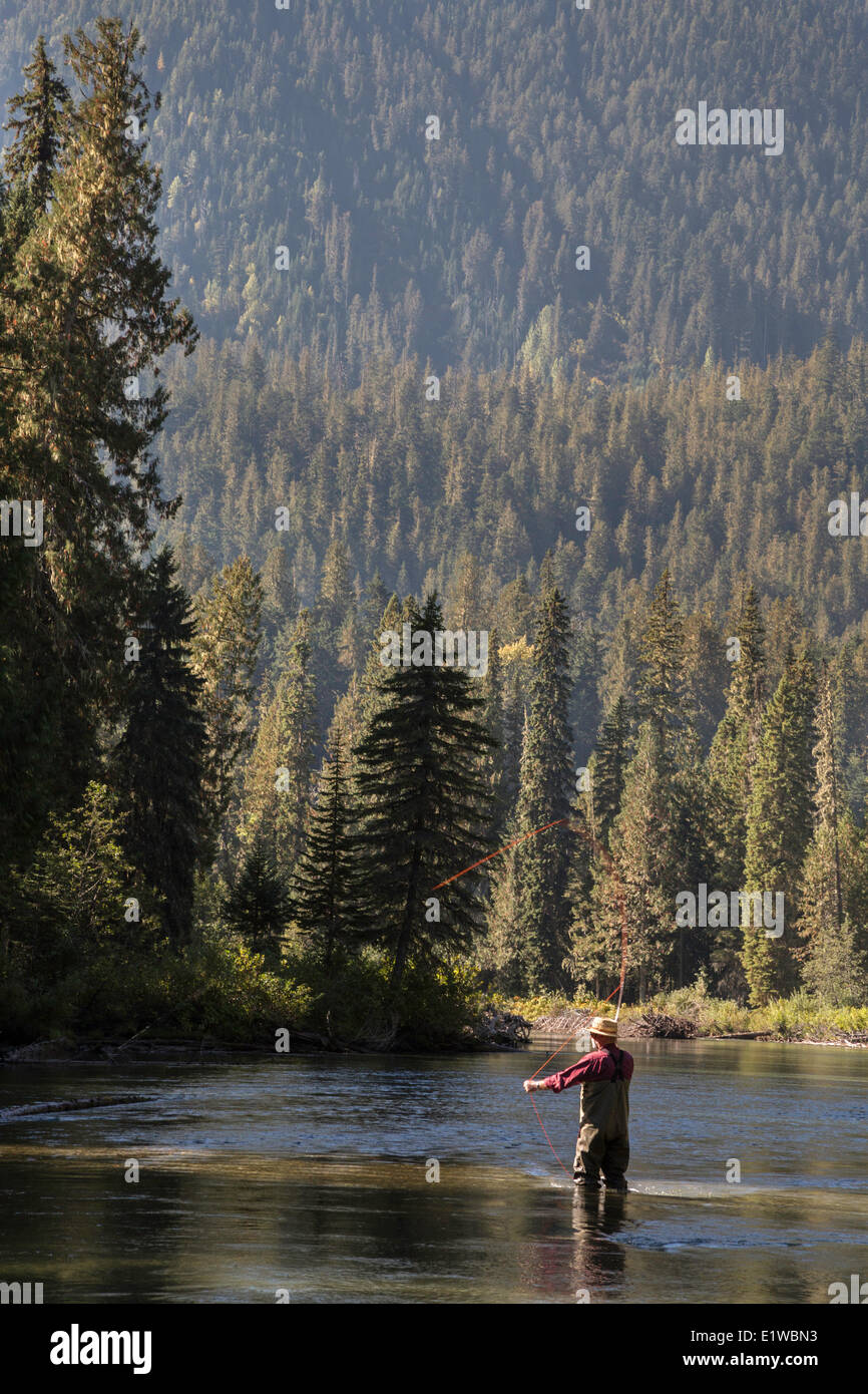 Fliegenfischen Sie, Mitchell River, Cariboo Mountains, British Columbia, Kanada Stockfoto