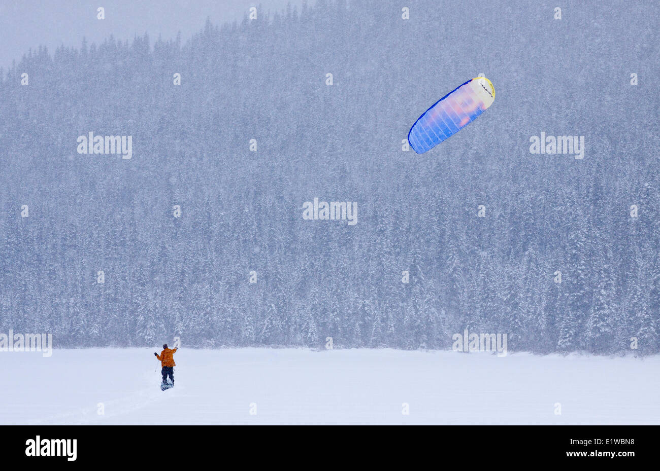 Kite-Skifahren, wieder Langlaufen, Bowron Lake leitet Park, Britisch-Kolumbien, Kanada Stockfoto