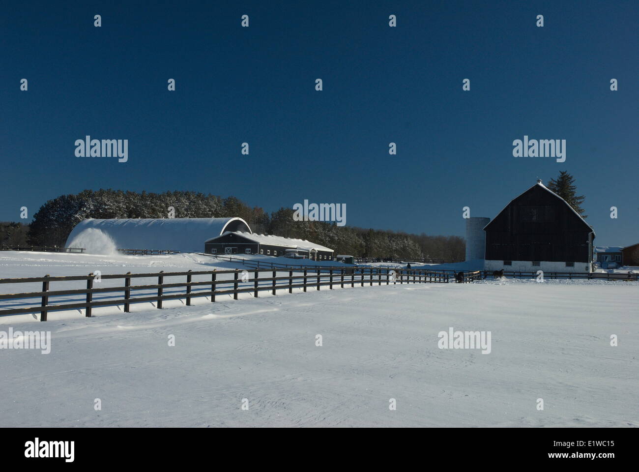 Reiterhof in Orio-Medonte, Ontario, Kanada Stockfoto