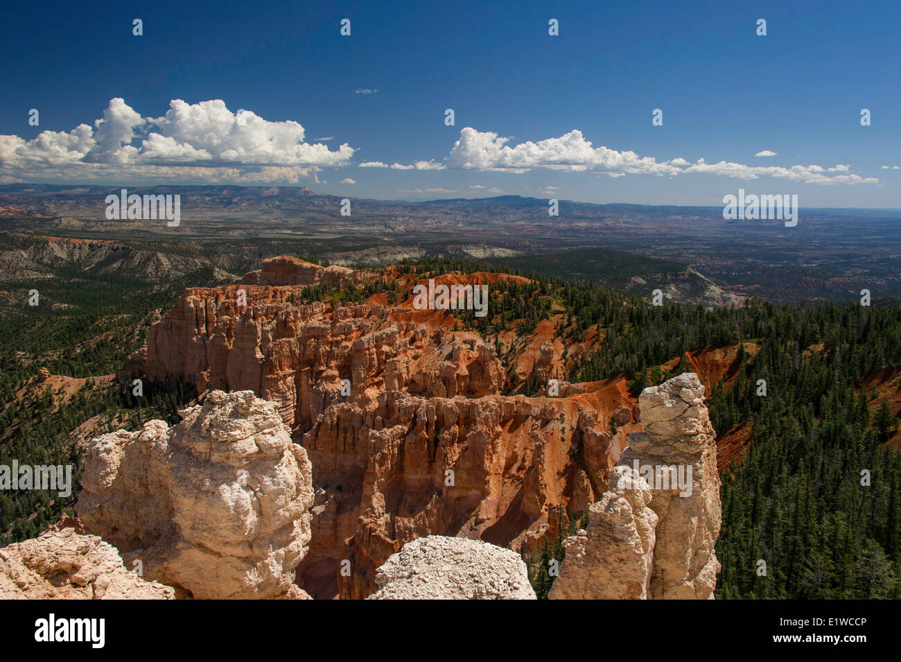Bryce-Canyon-Nationalpark, Utah, Vereinigte Staaten von Amerika Stockfoto