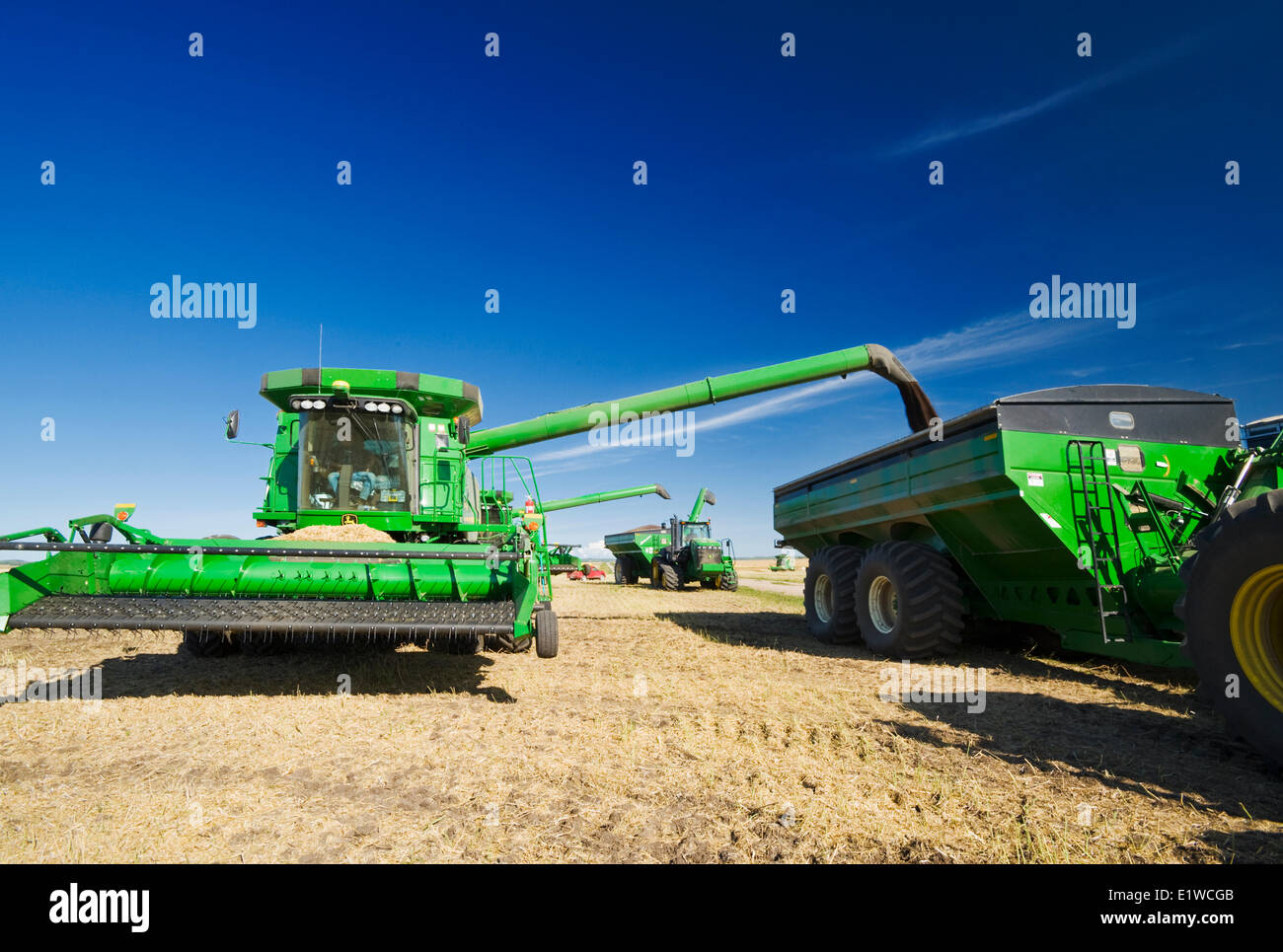 Kombinieren Sie Erntemaschinen Entladen In Getreide Wagen Wahrend