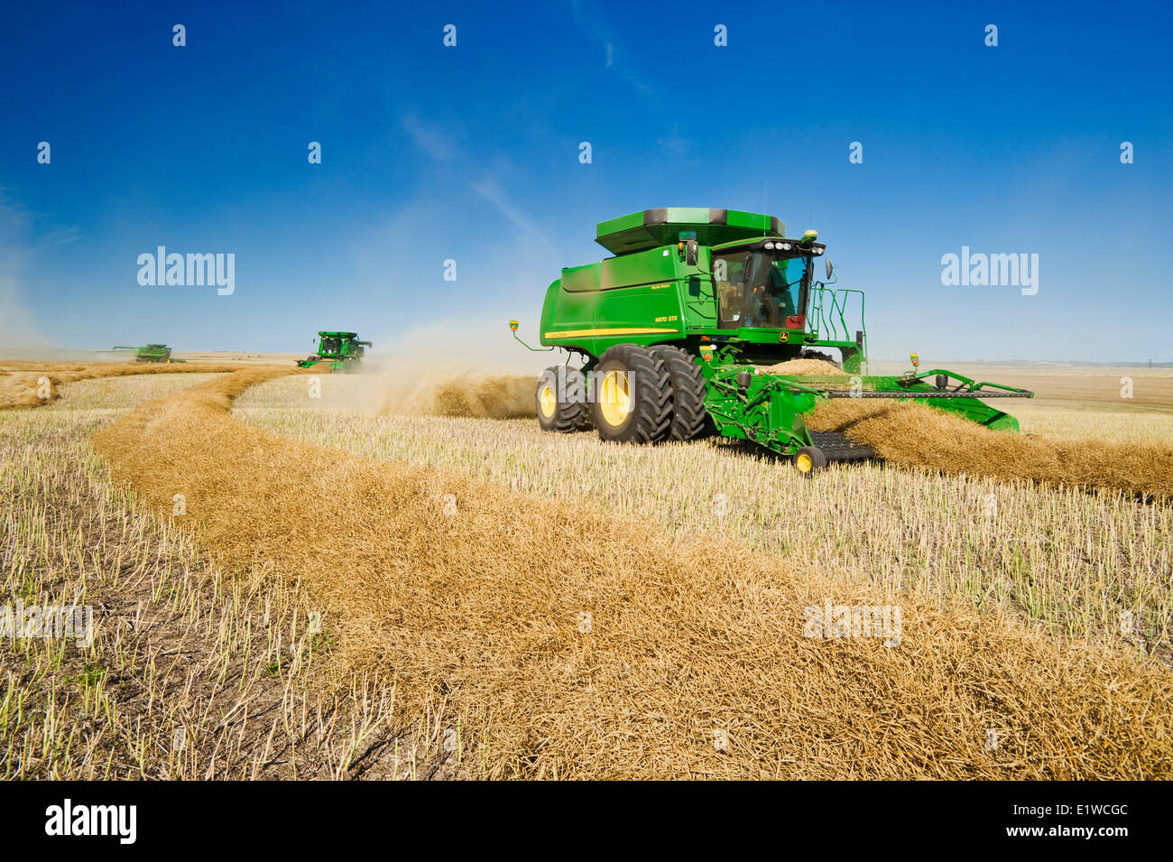 Kombinieren Sie Erntemaschinen arbeiten in einem gewendetem Raps-Feld in der Nähe von Kamsack, Saskatchewan, Kanada Stockfoto
