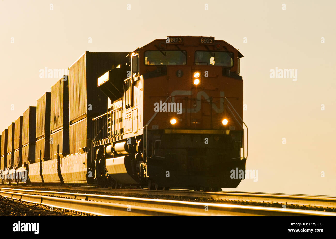 Lok ziehen Wagen mit Containern, in der Nähe von Winnipeg, Manitoba, Kanada Stockfoto