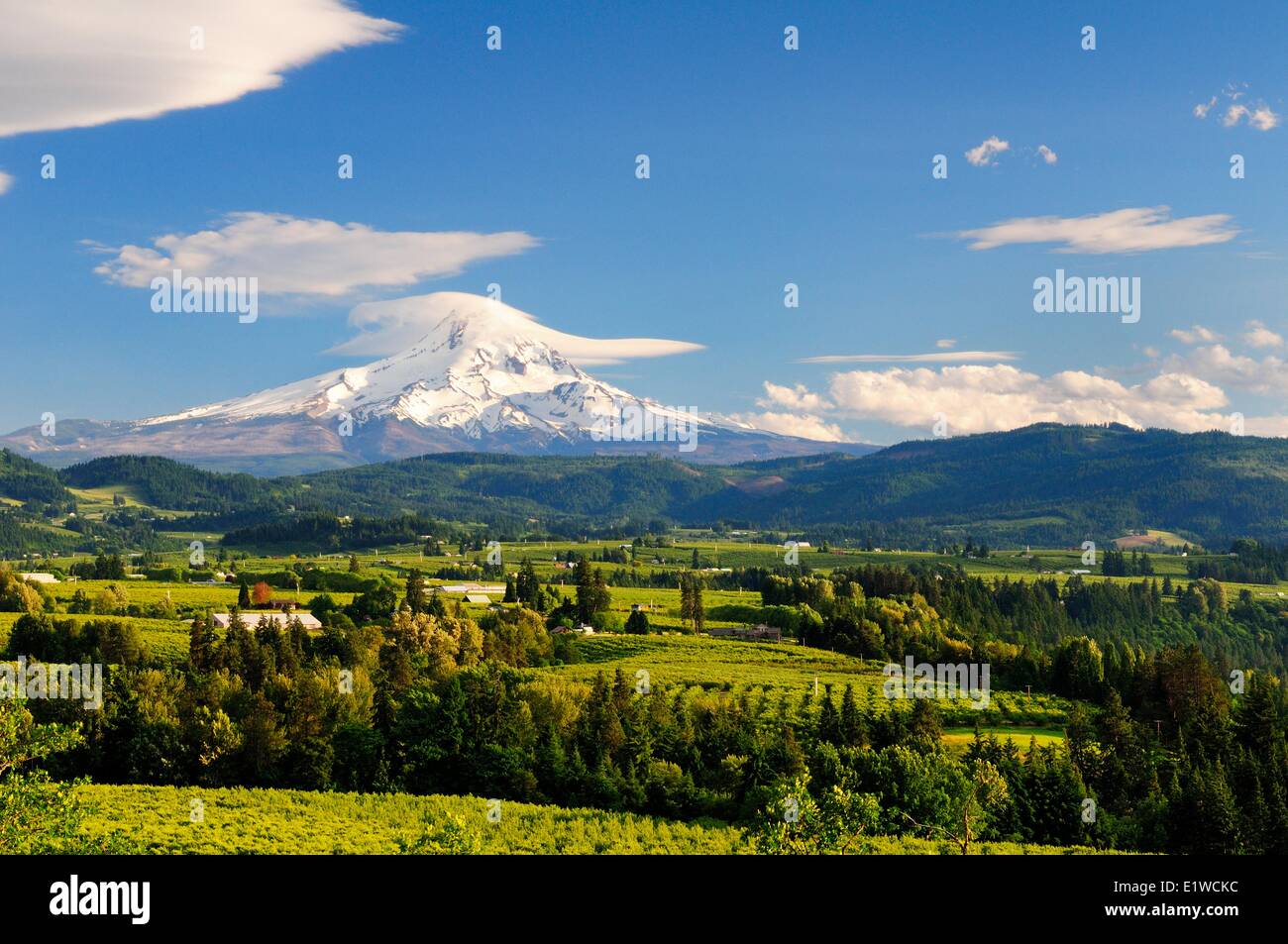 Ackerland und Obstplantagen in Hood River, Oregon, USA.  Mt. Hood in Oregon ist im Hintergrund. Stockfoto