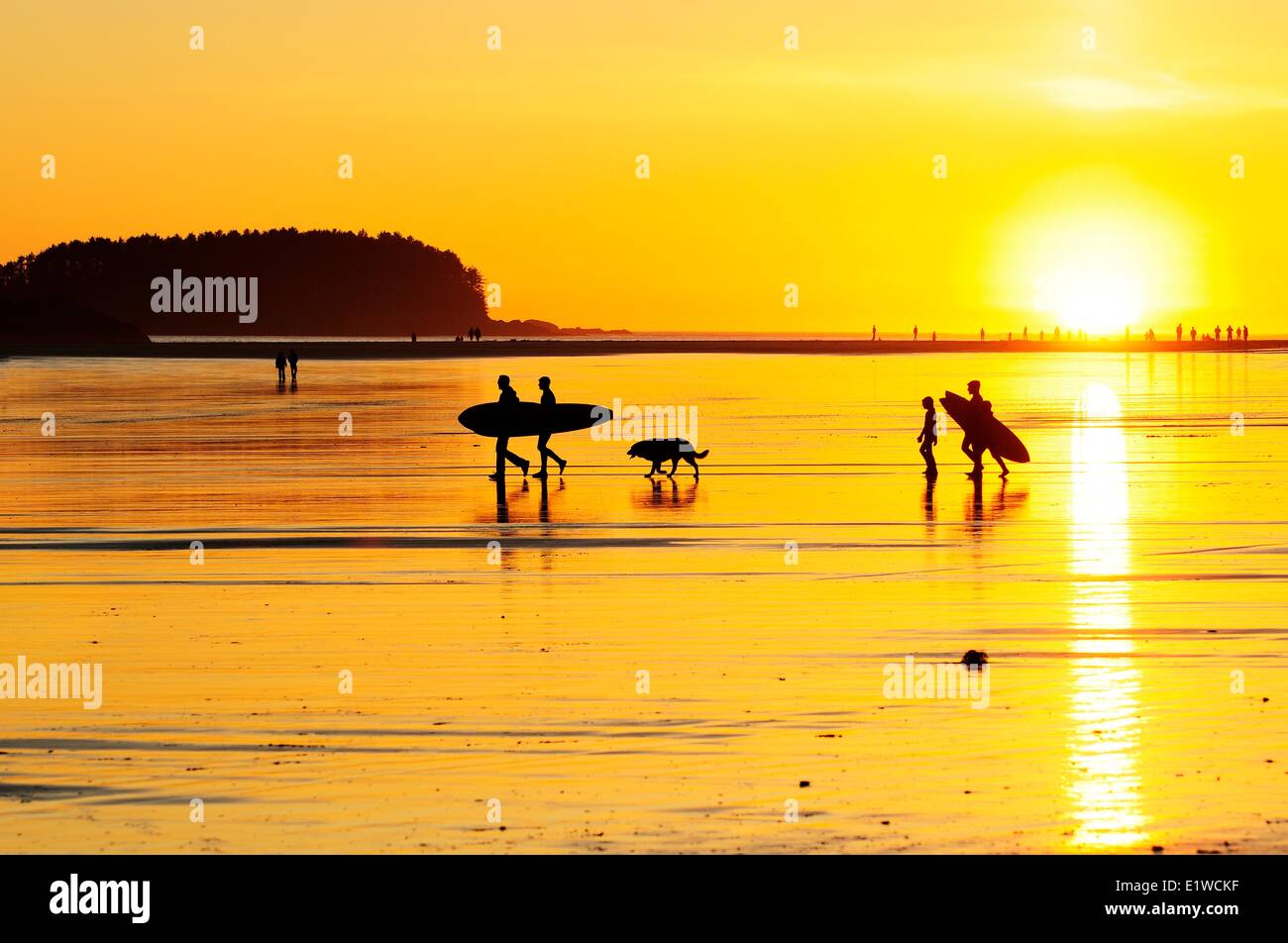 Surfer unterwegs bei Sonnenuntergang auf Chesterman Beach in Tofino, BC. Stockfoto