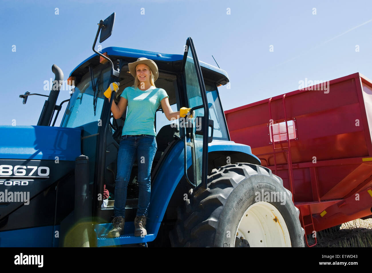 ein Bauernmädchen auf dem Deck eines Traktors mit Getreide Wagen während der Ernte, in der Nähe von Dugald, Manitoba, Kanada Stockfoto