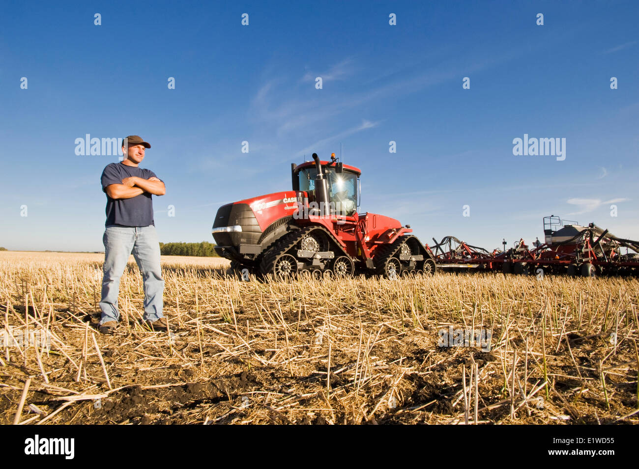 ein Bauer im Feld Traktor Luft bis Sämaschine im Hintergrund verwendet, um Winterweizen in eine Null bis Raps Stoppelfeld Pflanzen Stockfoto