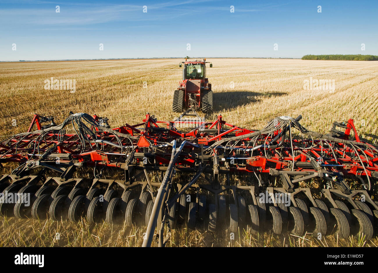 bewegliche Traktor und und Luft bis Sämaschine Pflanzung Winterweizen in Null bis Raps Stoppelfeld, Lorette, Manitoba, Kanada Stockfoto