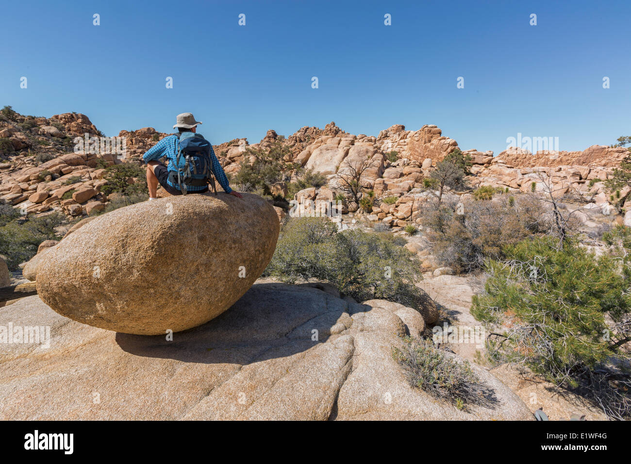 Mann sitzt auf einem Felsen im Joshua Tree National Park, Kalifornien. Stockfoto