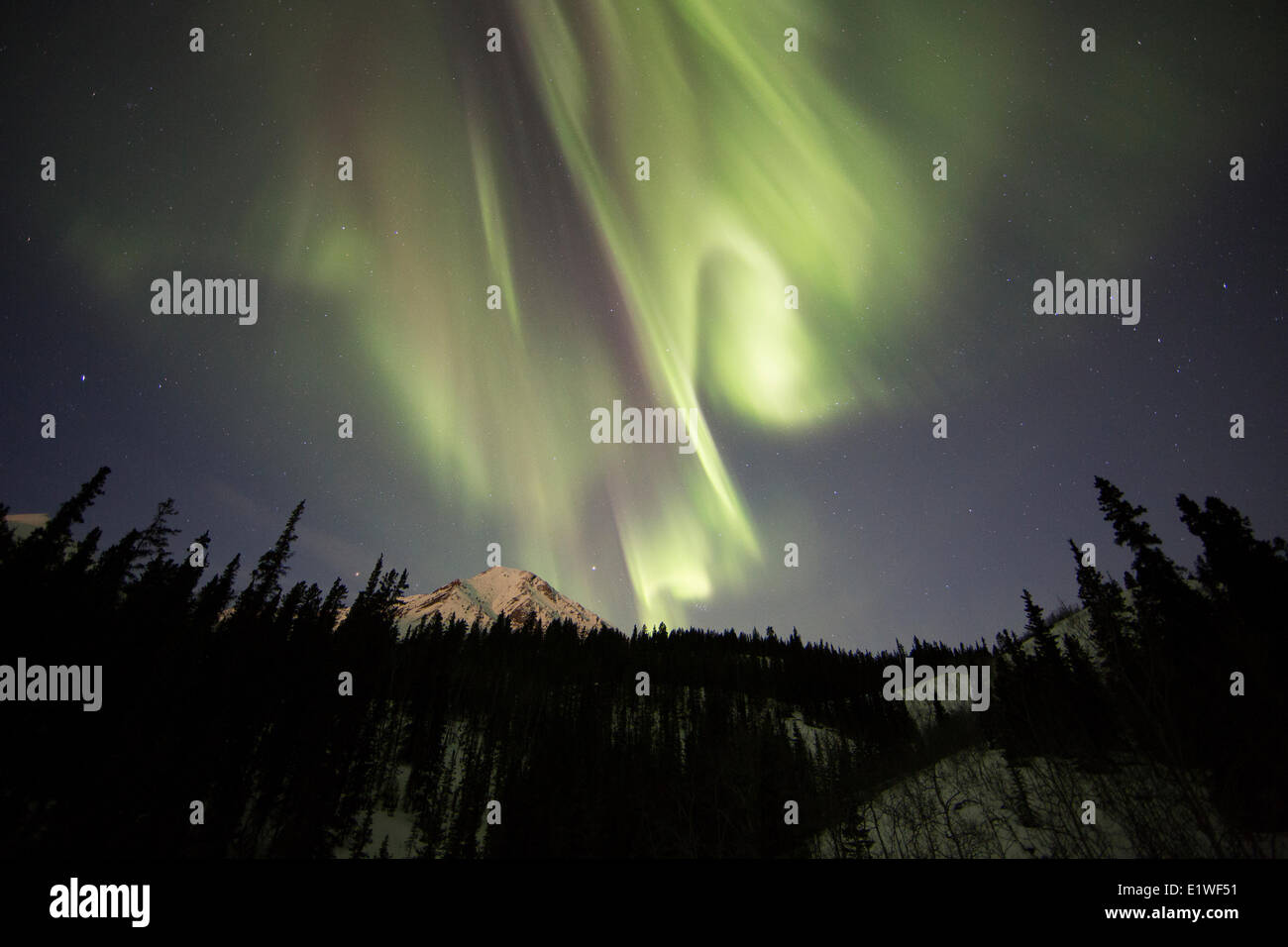 Nordlicht oder Aurora Borealis leuchten die Yukon Nachthimmel außerhalb Whitehorse, Yukon. Stockfoto