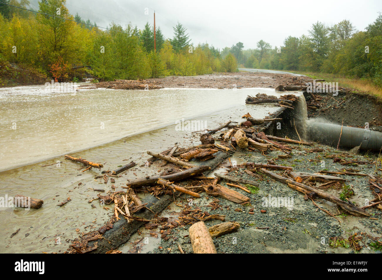 Die 2010 historische Hochwasser in Firvale, Bella Coola Valley, Britisch-Kolumbien Stockfoto