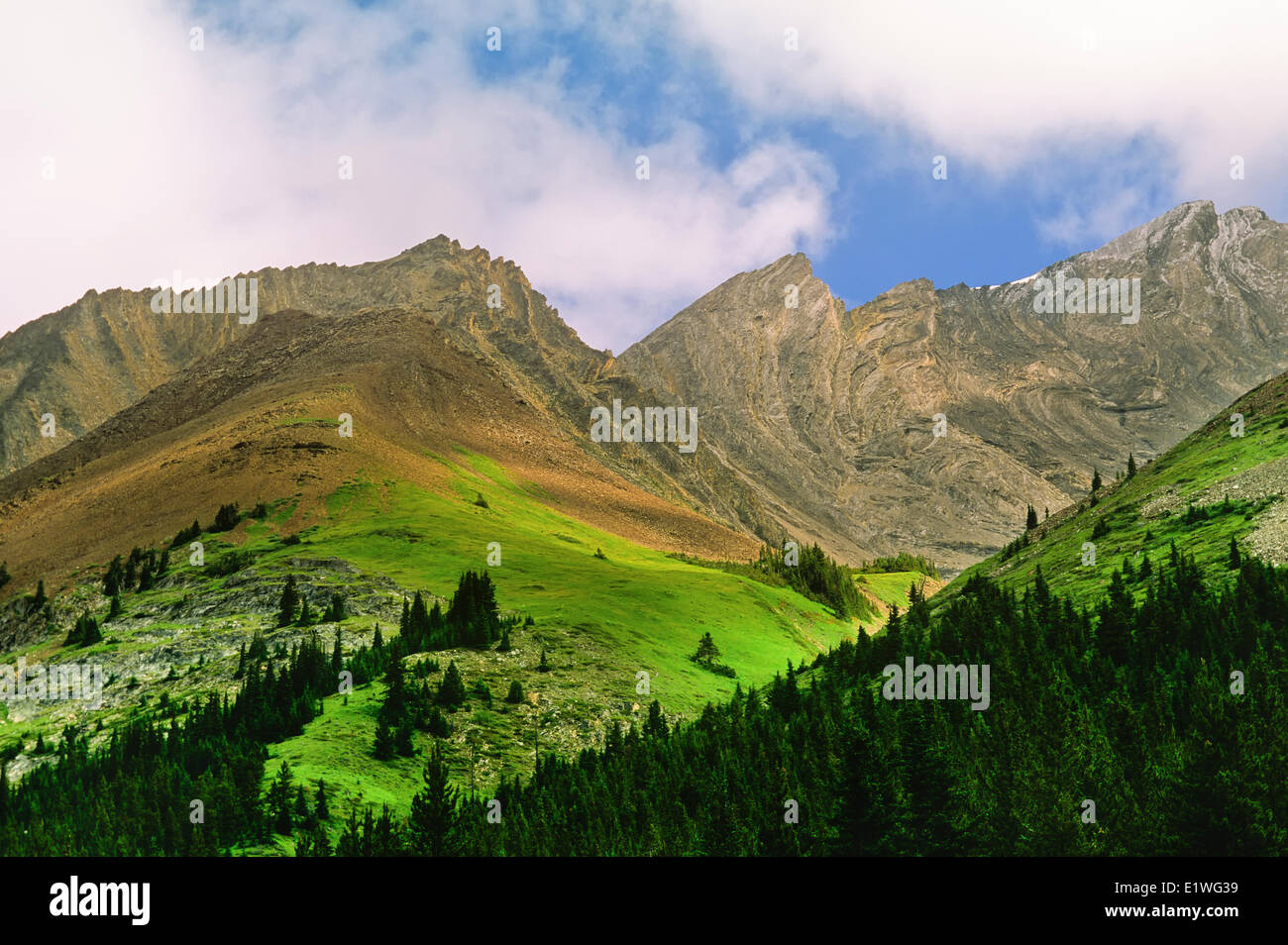 Peter Lougheed Provincial Park, Kananaskis Gebirge, Alberta, Kanada Stockfoto