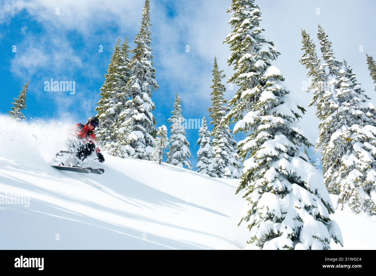 Eine Frau Thornton in blauer Himmel und Pulver bei Wildwasser Wintersportort, Nelson, Britisch-Kolumbien Stockfoto