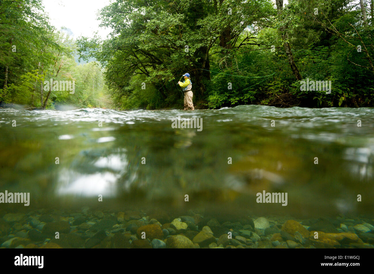 Eine junge Frau, Fliegenfischen auf Forellen am Fluss Saloompt, Bella Coola, Britisch-Kolumbien Stockfoto