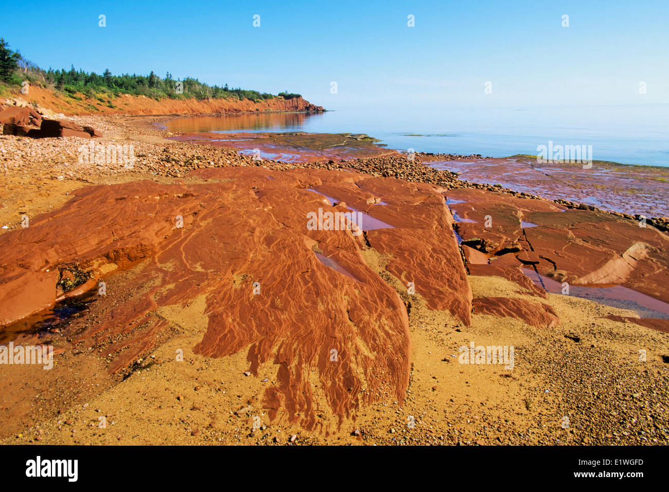 Sandstein-Klippen, Cape Bear, Prince Edward Island, Kanada, Küste Stockfoto