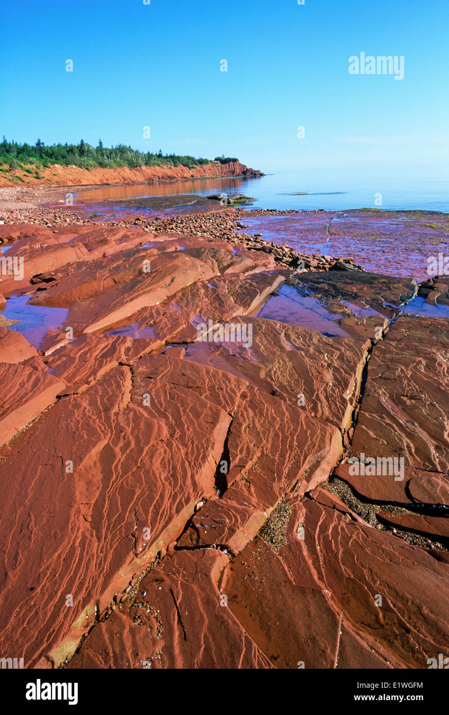 Sandstein-Klippen, Cape Bear, Prince-Edward-Insel, Kanada Stockfoto