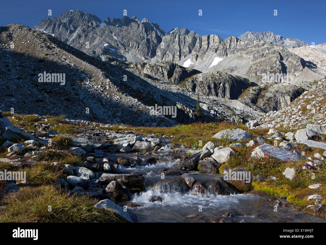 Mount Rogers Fleming Peak, Grant Peak Peak genannte Peak Einsiedler Becken Gletscher Nationalpark Roger Pass-Britisch-Kolumbien Stockfoto