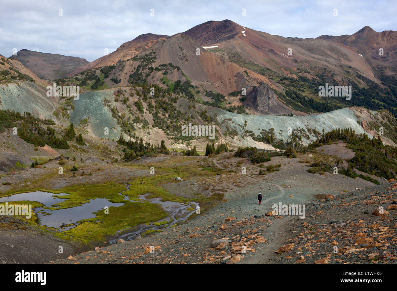 Wanderer auf Trail unterhalb Kamel Pass, Nea Peak und Eldorado Berg in der Ferne, südlichen Chilcotins, Britisch-Kolumbien, Kanada Stockfoto