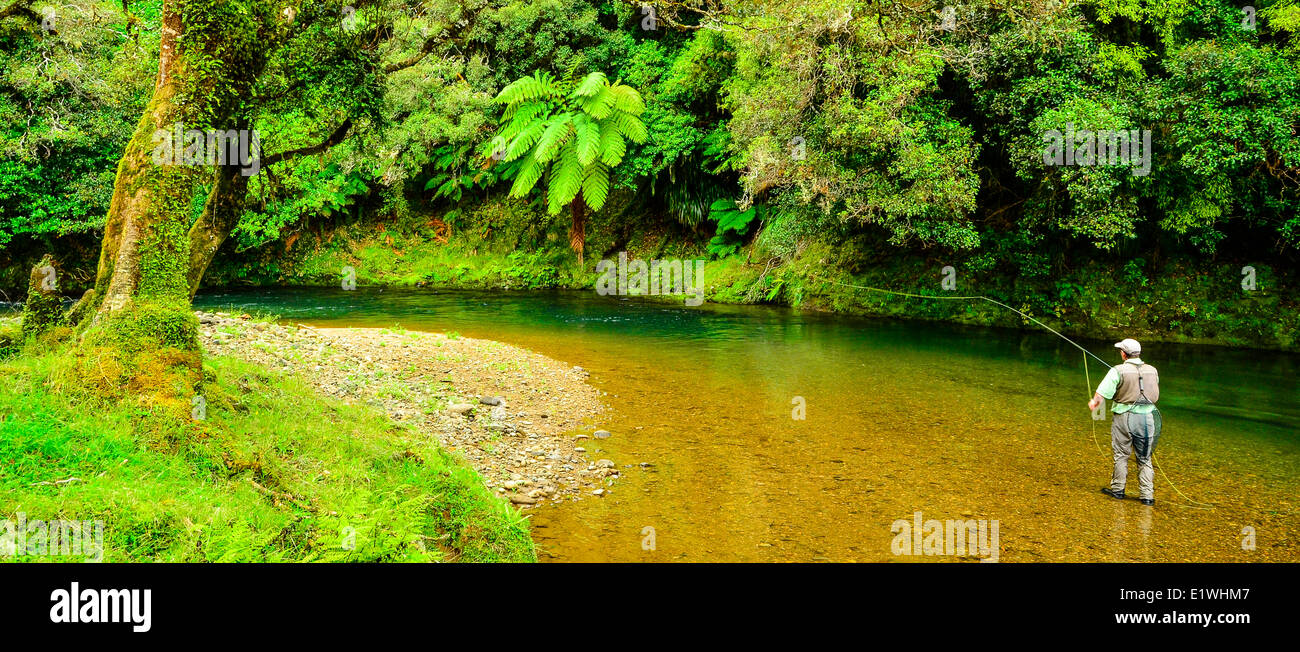 Awakino River Nordinsel Neuseeland Forellen Angler Stockfoto