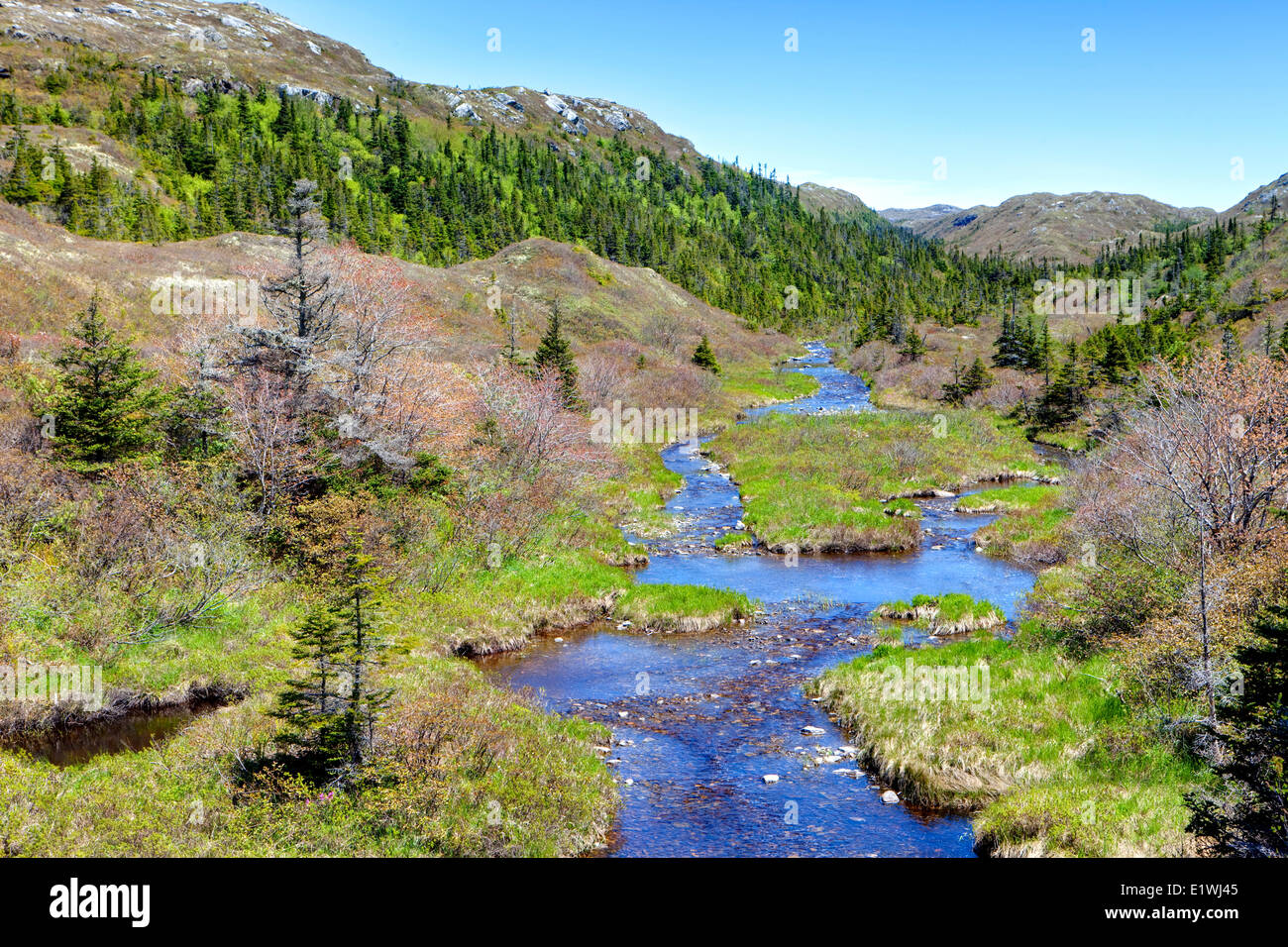 Brook, Ganite Coast Drive, südlichen Neufundland Stockfoto